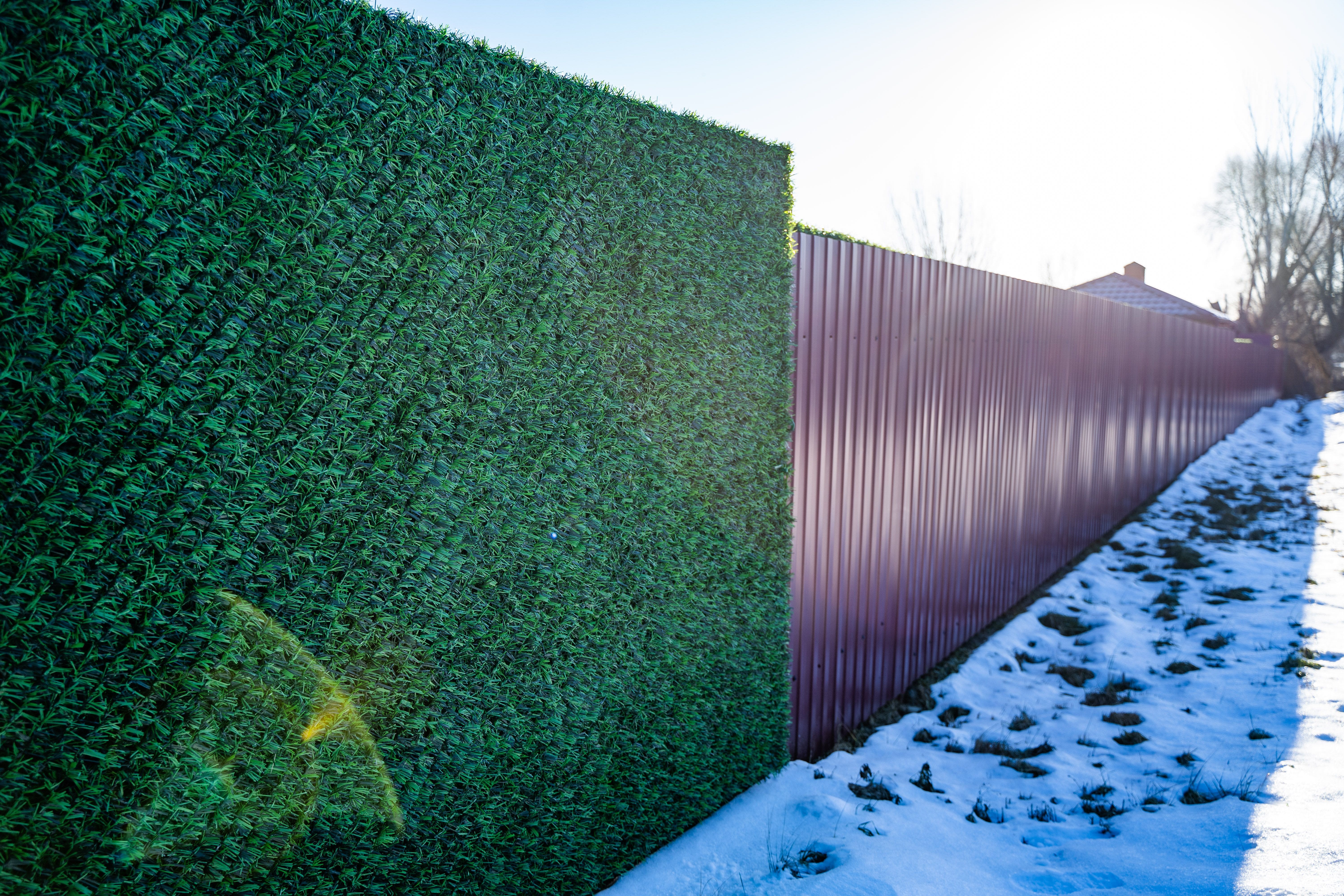 Вечнозеленый забор Grass Fence рулон 2м фото 11 в Калуге