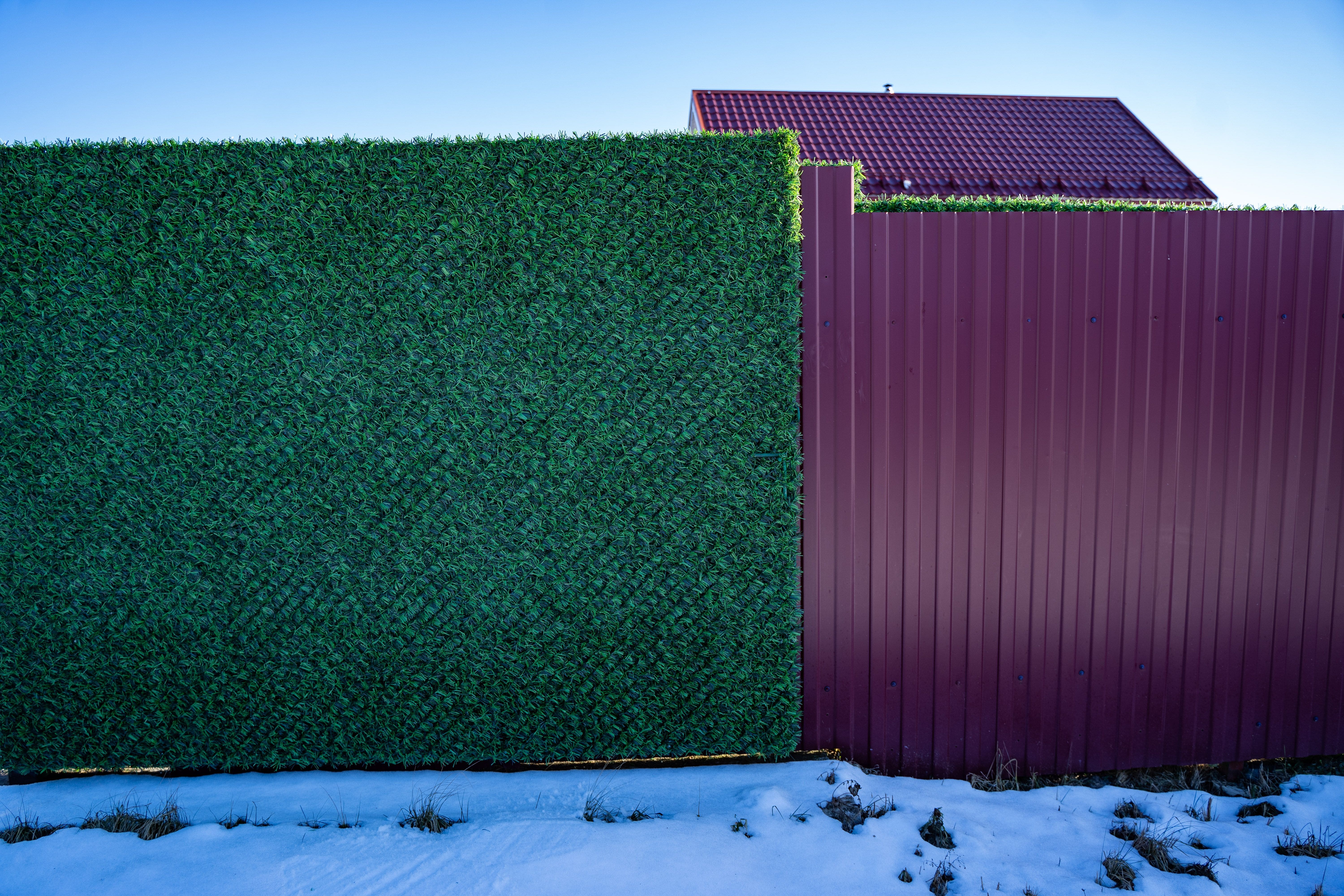 Вечнозеленый забор Grass Fence рулон 2м фото 2 в Калуге