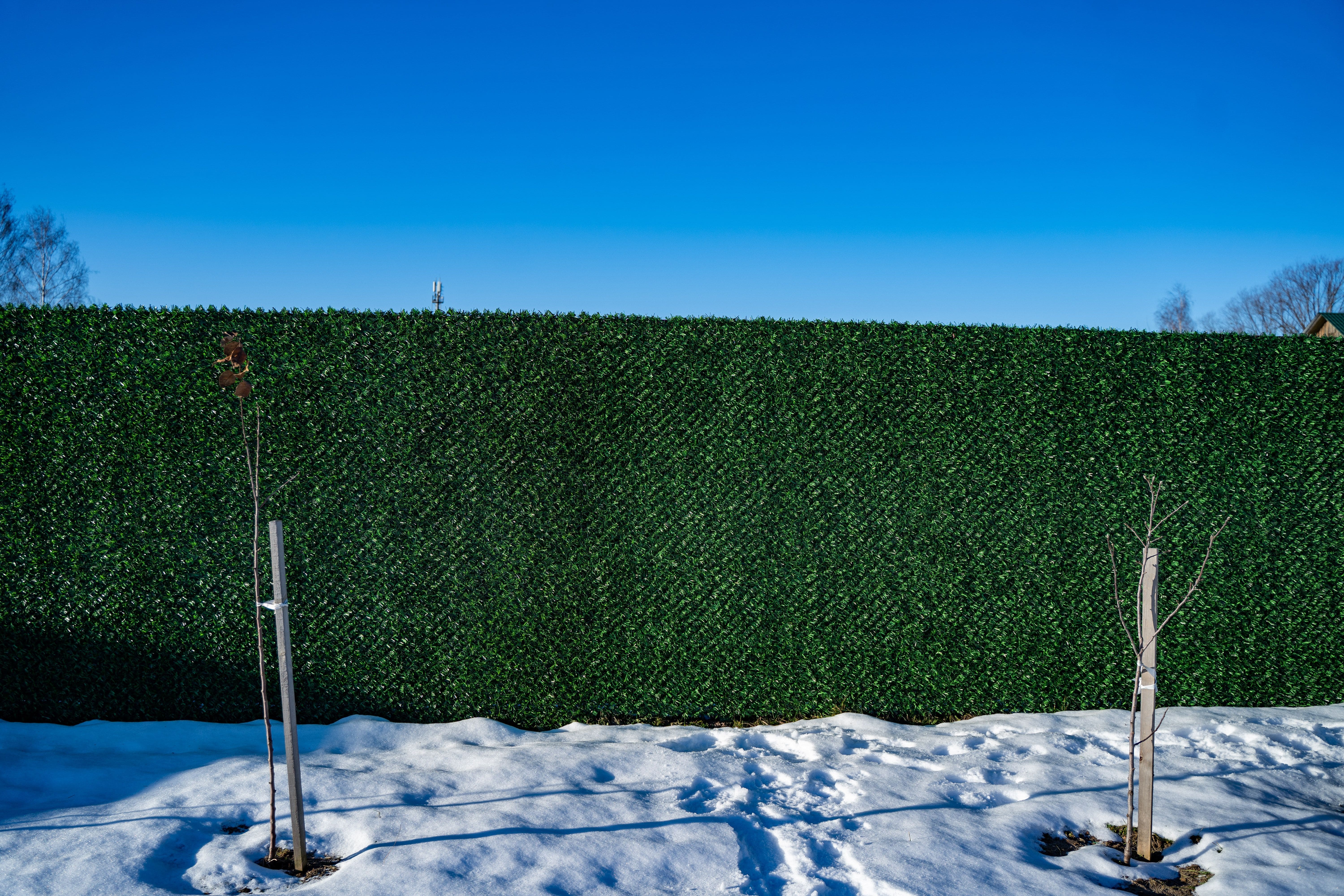 Вечнозеленый забор Grass Fence рулон 2м фото 8 в Калуге